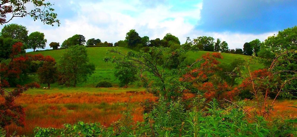 Fortview House Redhills ภายนอก รูปภาพ